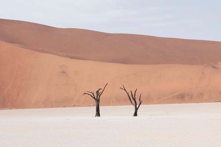 In a Land of Nothingness