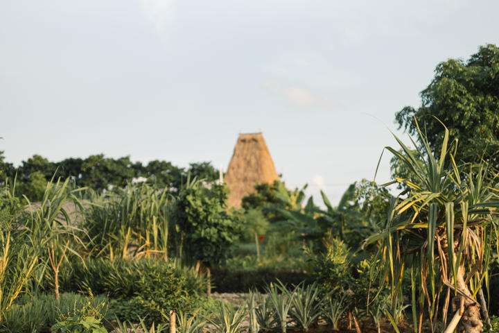 Digital Nomad-Friendly Destinations to Work From