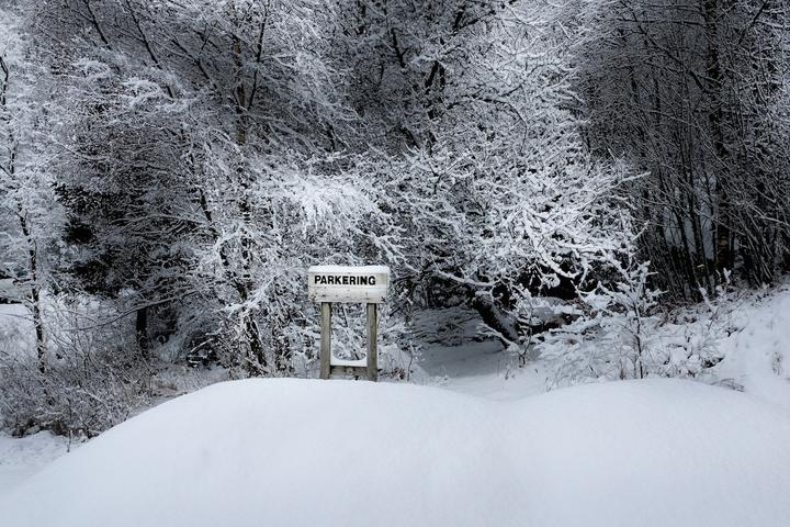 Handelandsdalen: Norway's Frozen North