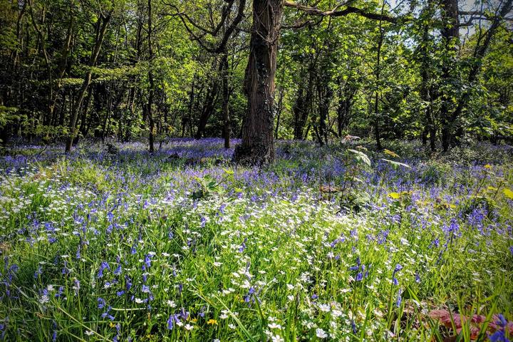What to Do in Bruton, Somerset