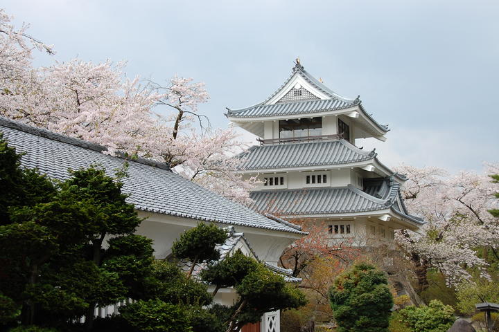 What to Do in Hachinohe, Japan