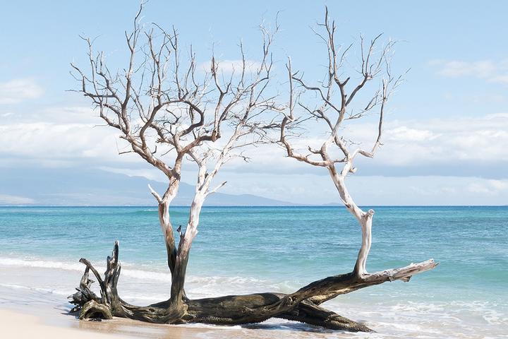 Maui: Living the Aloha Life in Hawaii