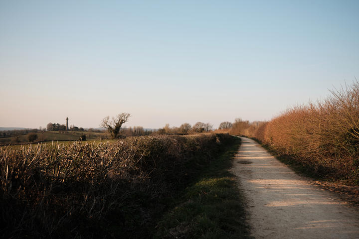 Homing Instinct: Finding Comfort in the Cotswolds