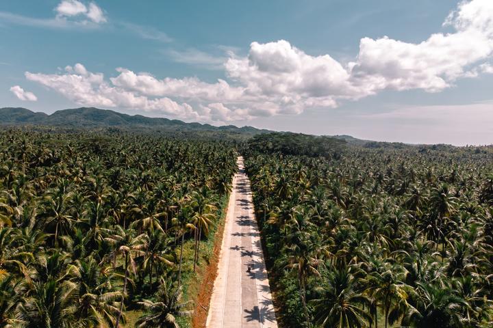 Lockdown in Paradise? Filipino Creatives Reveal the Pros and Cons of Island Isolation
