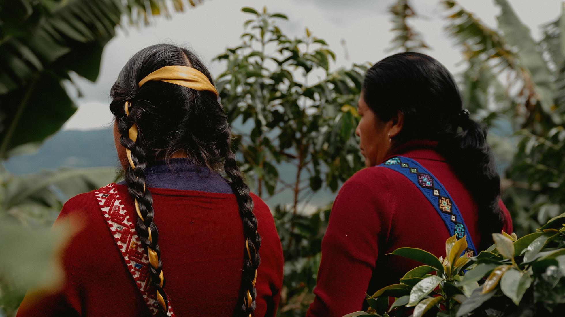 Jenna Foxton Captures An Indigenous, All-Women Coffee Collective In Mexico