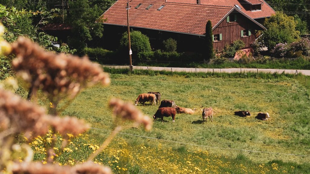 Farm Feasts: Six Of Europe’s Tastiest Rural Retreats For Autumn
